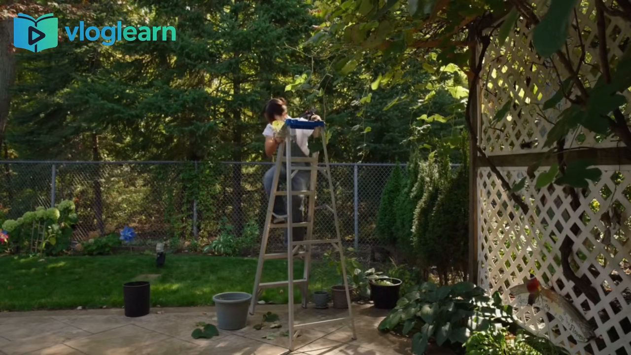 别让时间偷偷溜走