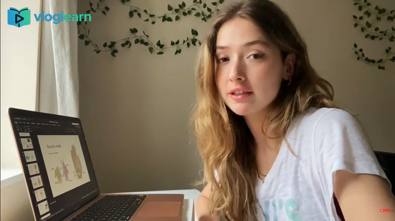 医学生的高效复习日常