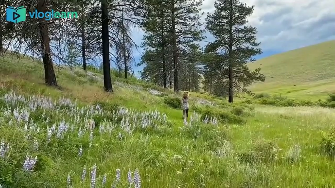 从追逐财富到简单生活