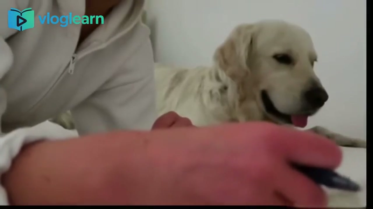 夜间成功的秘诀