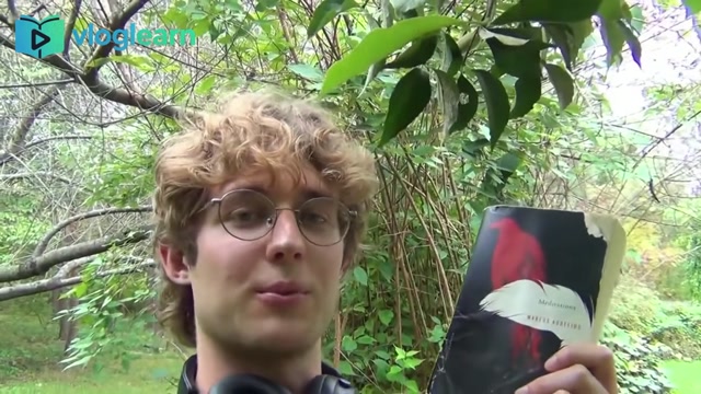 精神内守：工作间隙阅读《沉思录》的静心艺术